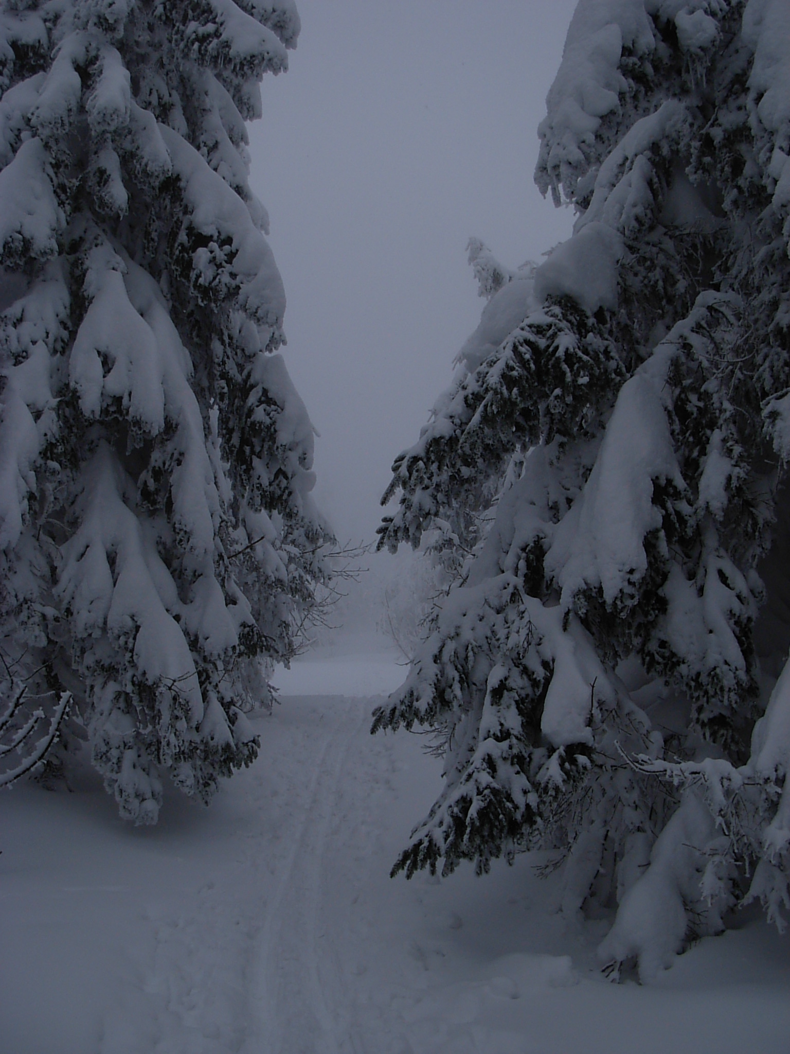 DSCN3430.JPG