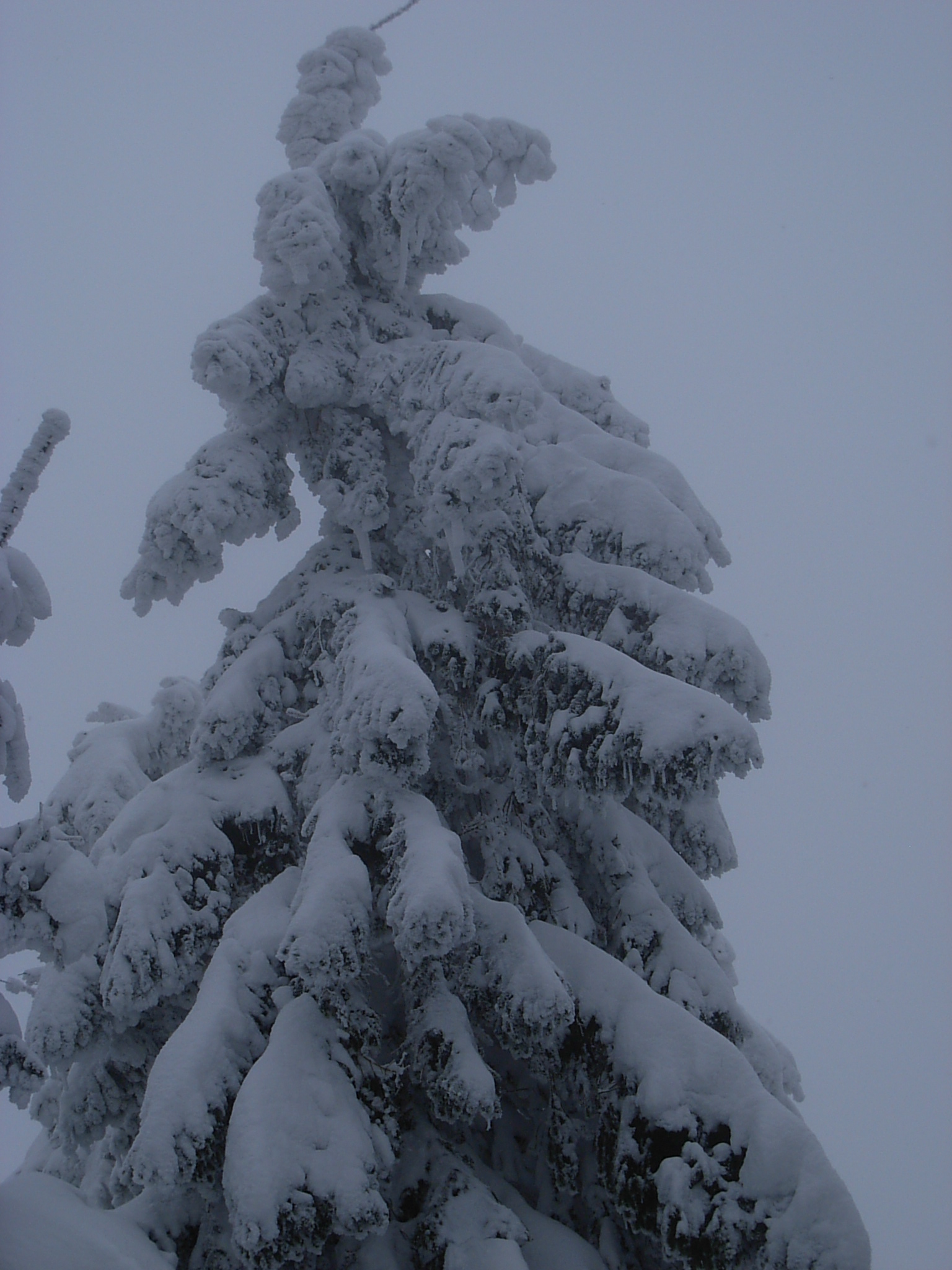 DSCN3431.JPG