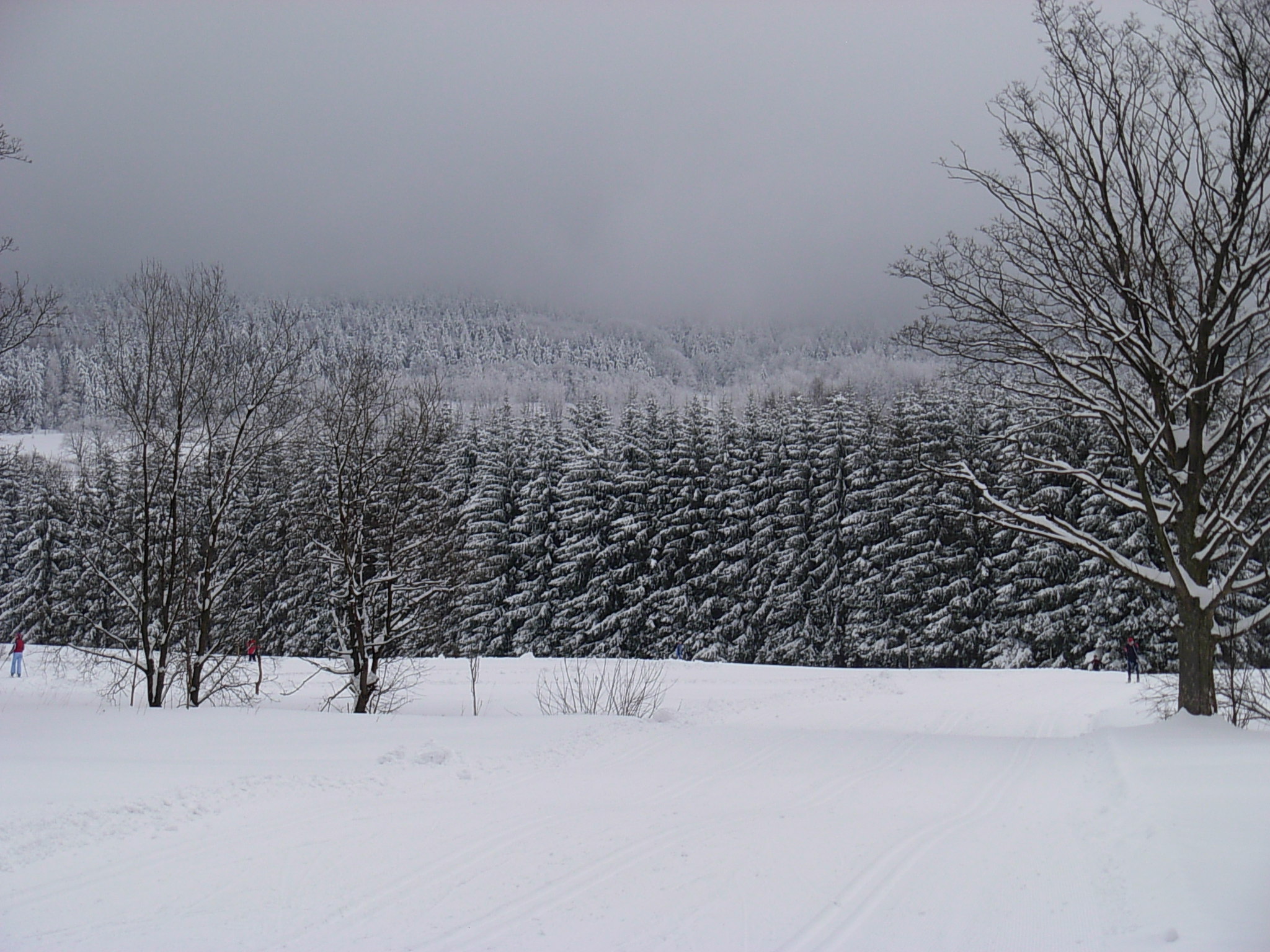 DSCN3465.JPG