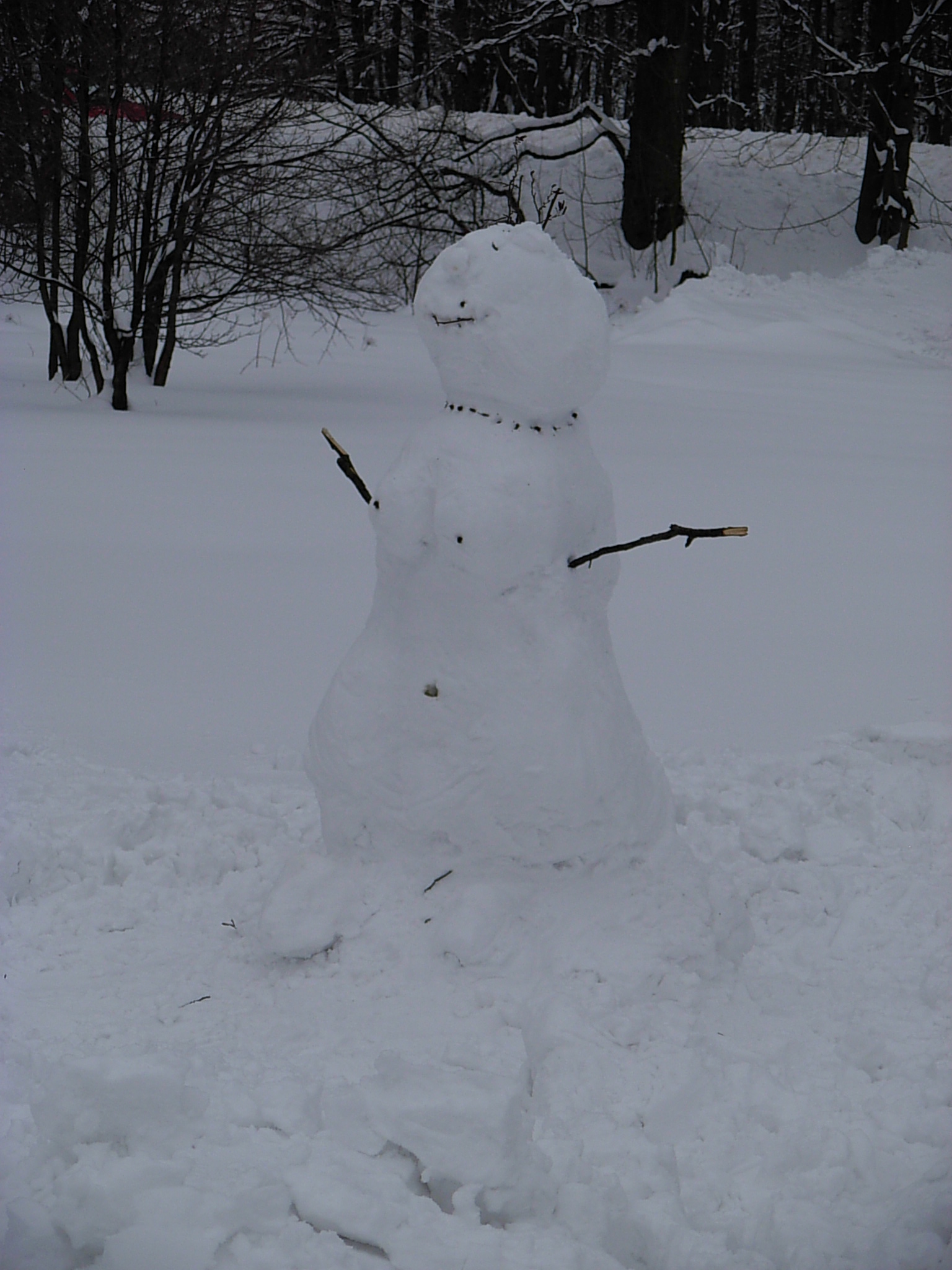 DSCN3466.JPG
