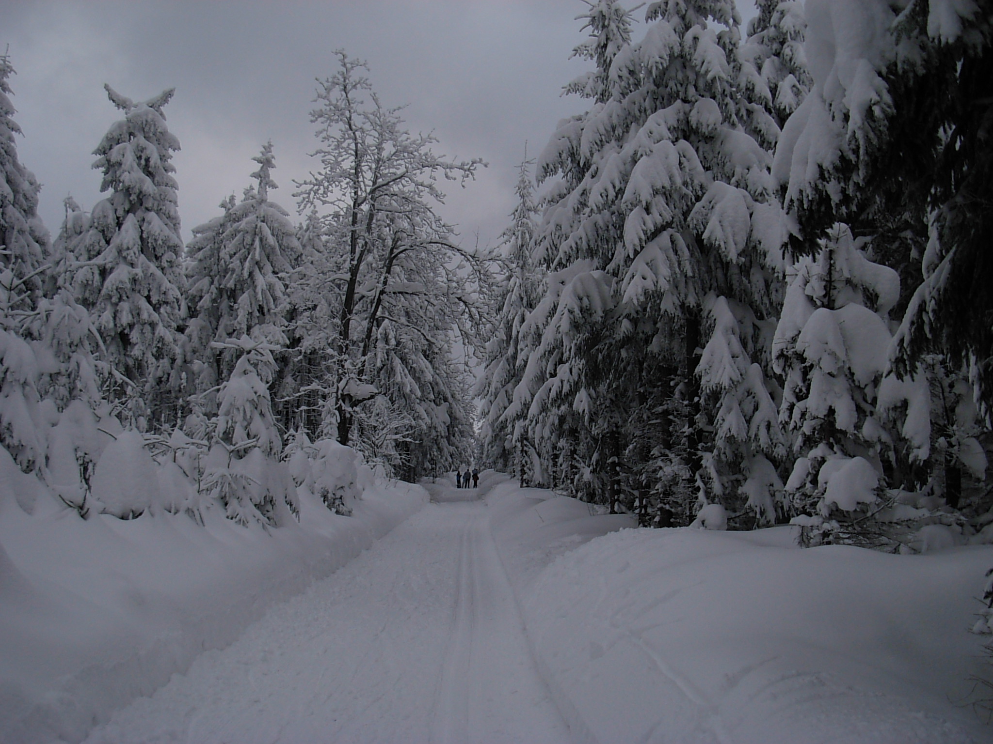 DSCN3369.JPG