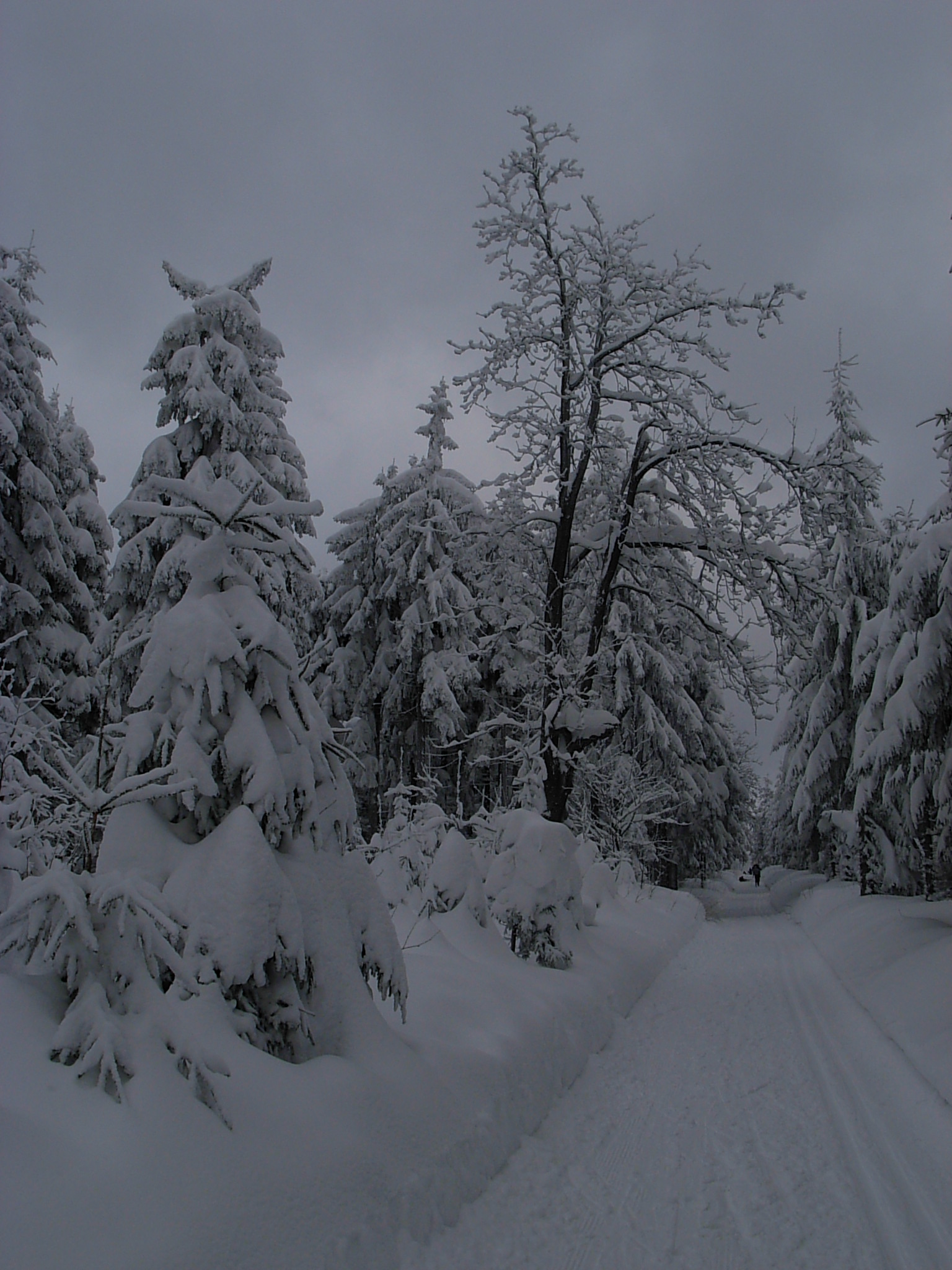 DSCN3371.JPG