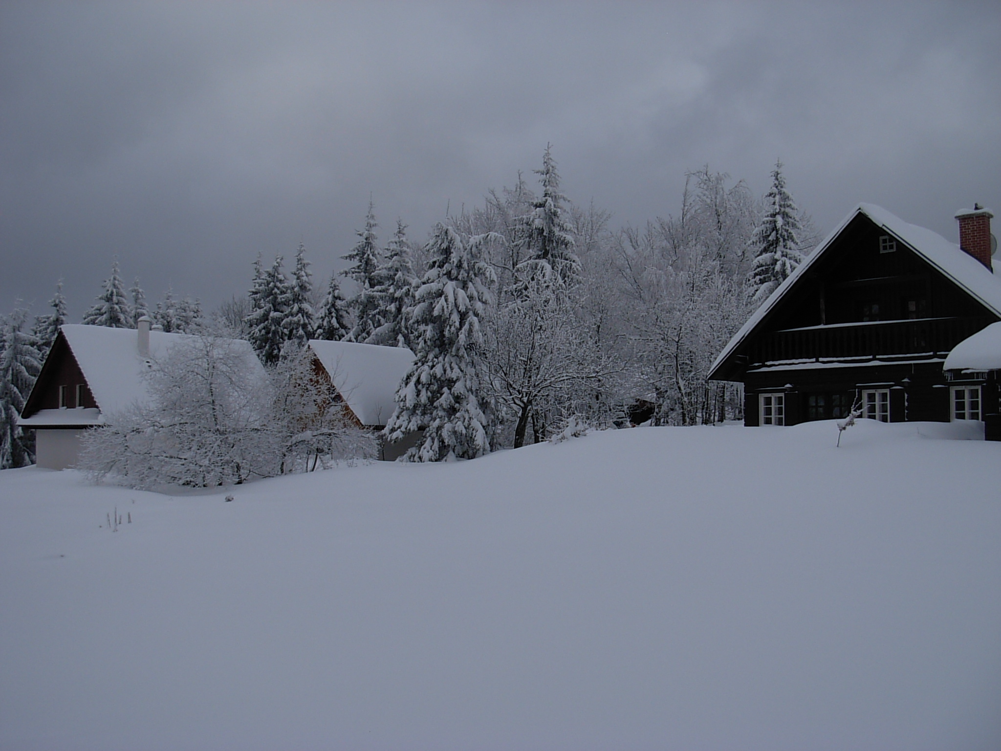 DSCN3373.JPG