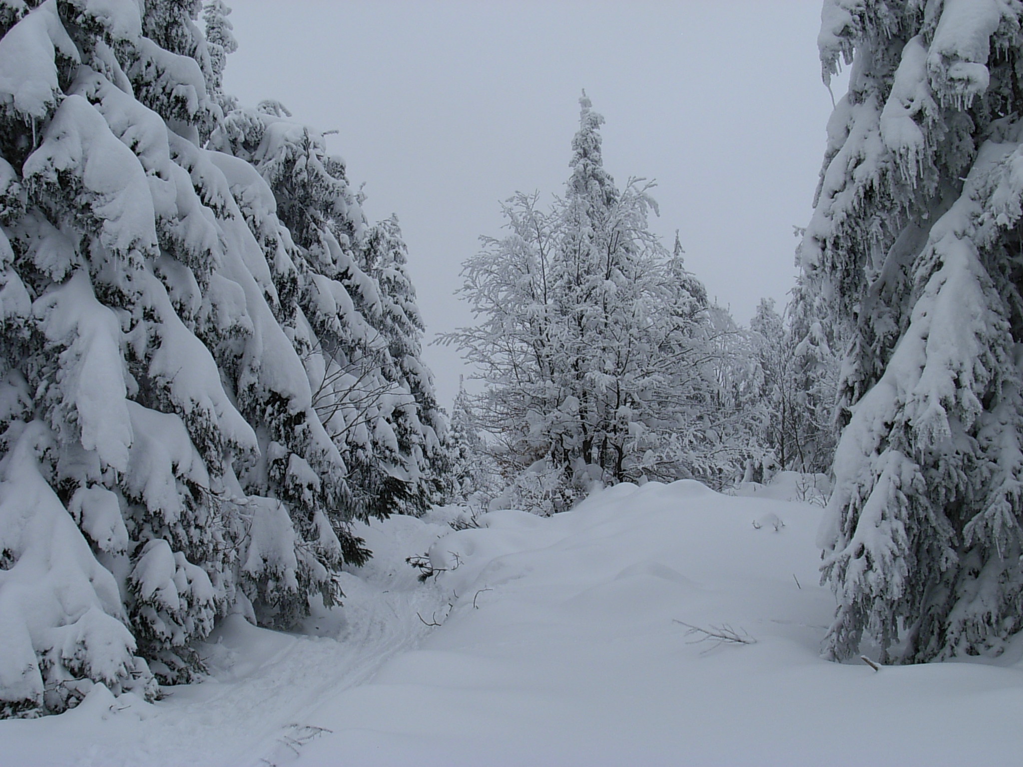 DSCN3392.JPG
