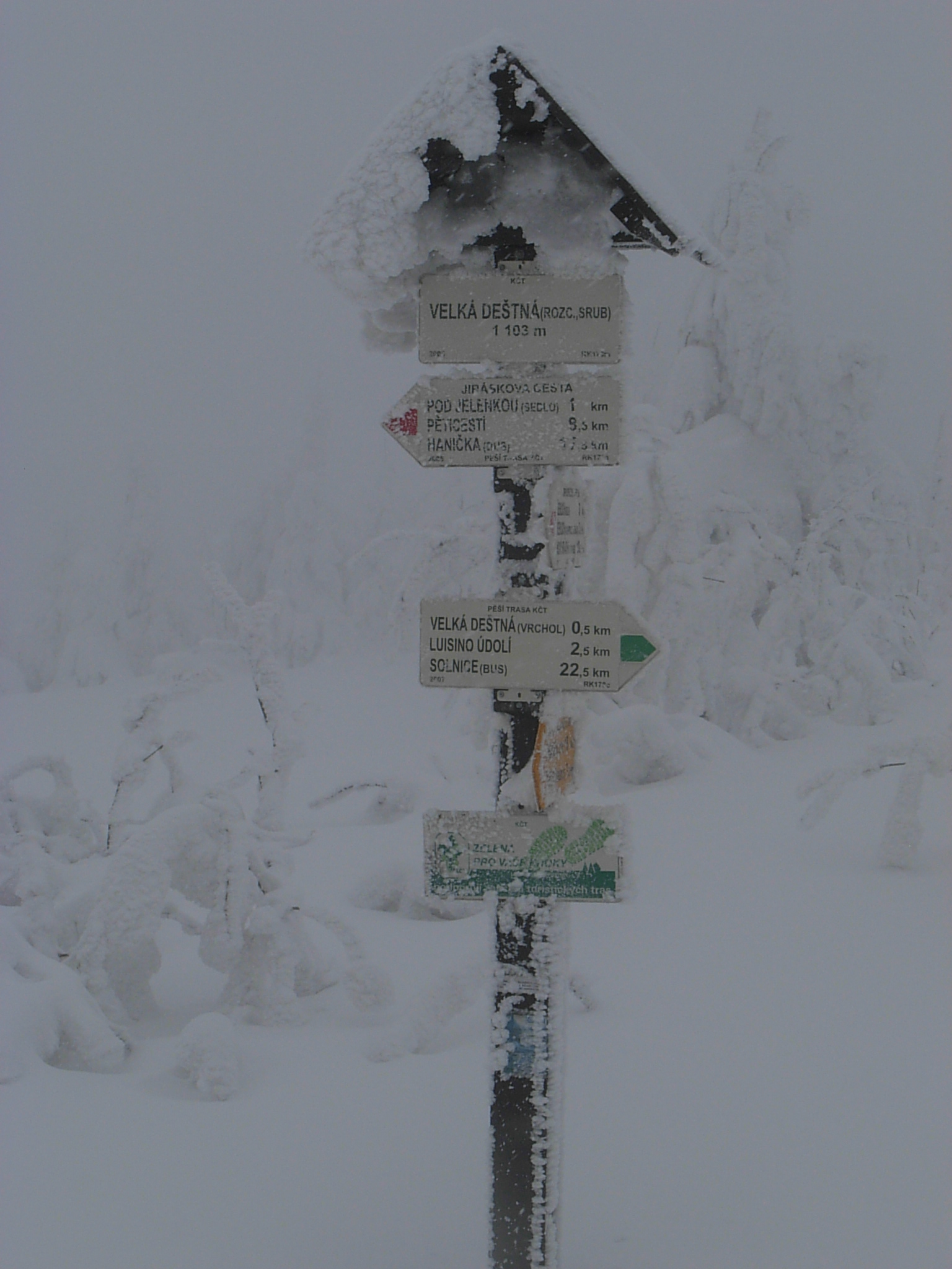 DSCN3408.JPG