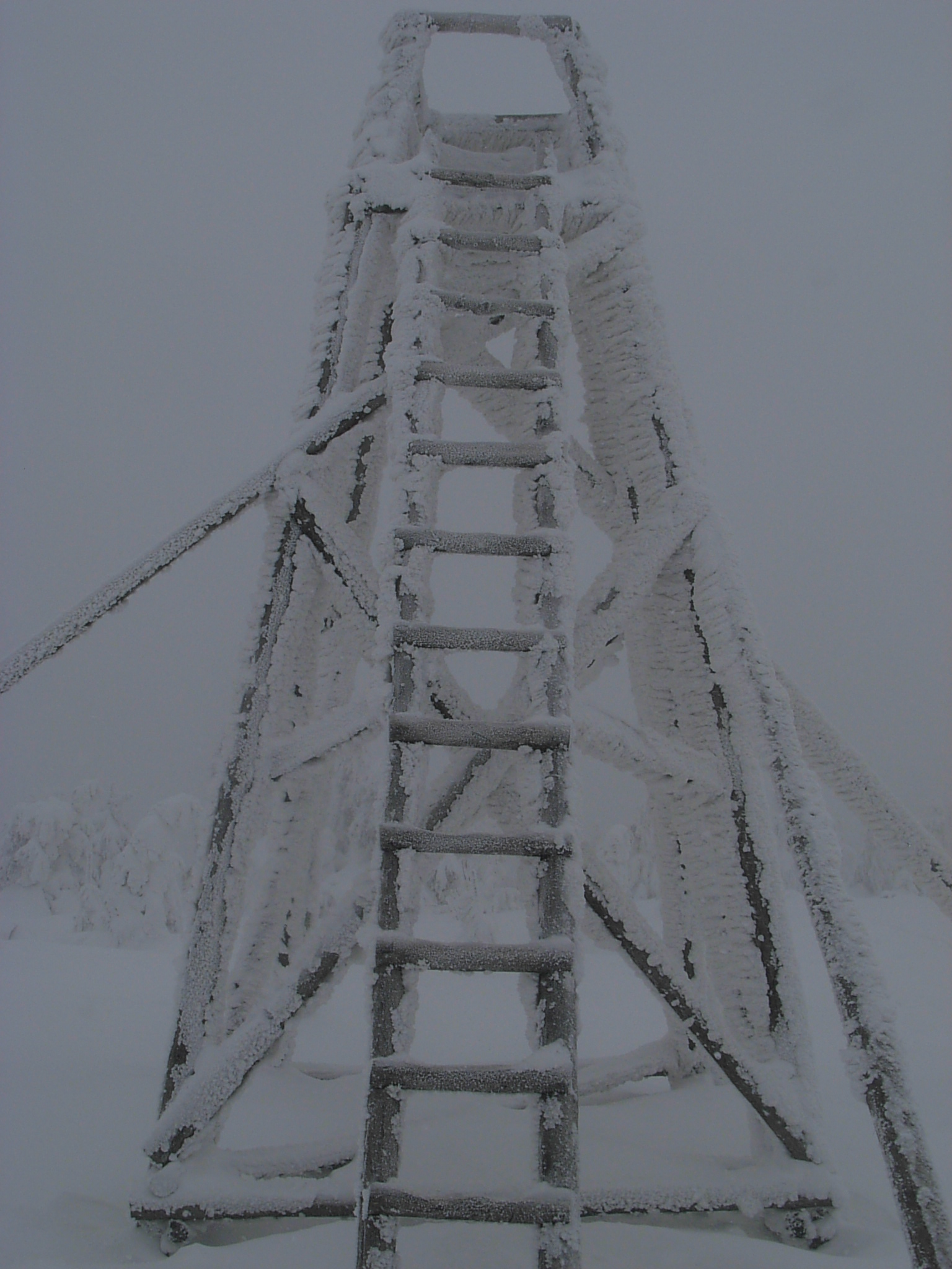 DSCN3421.JPG