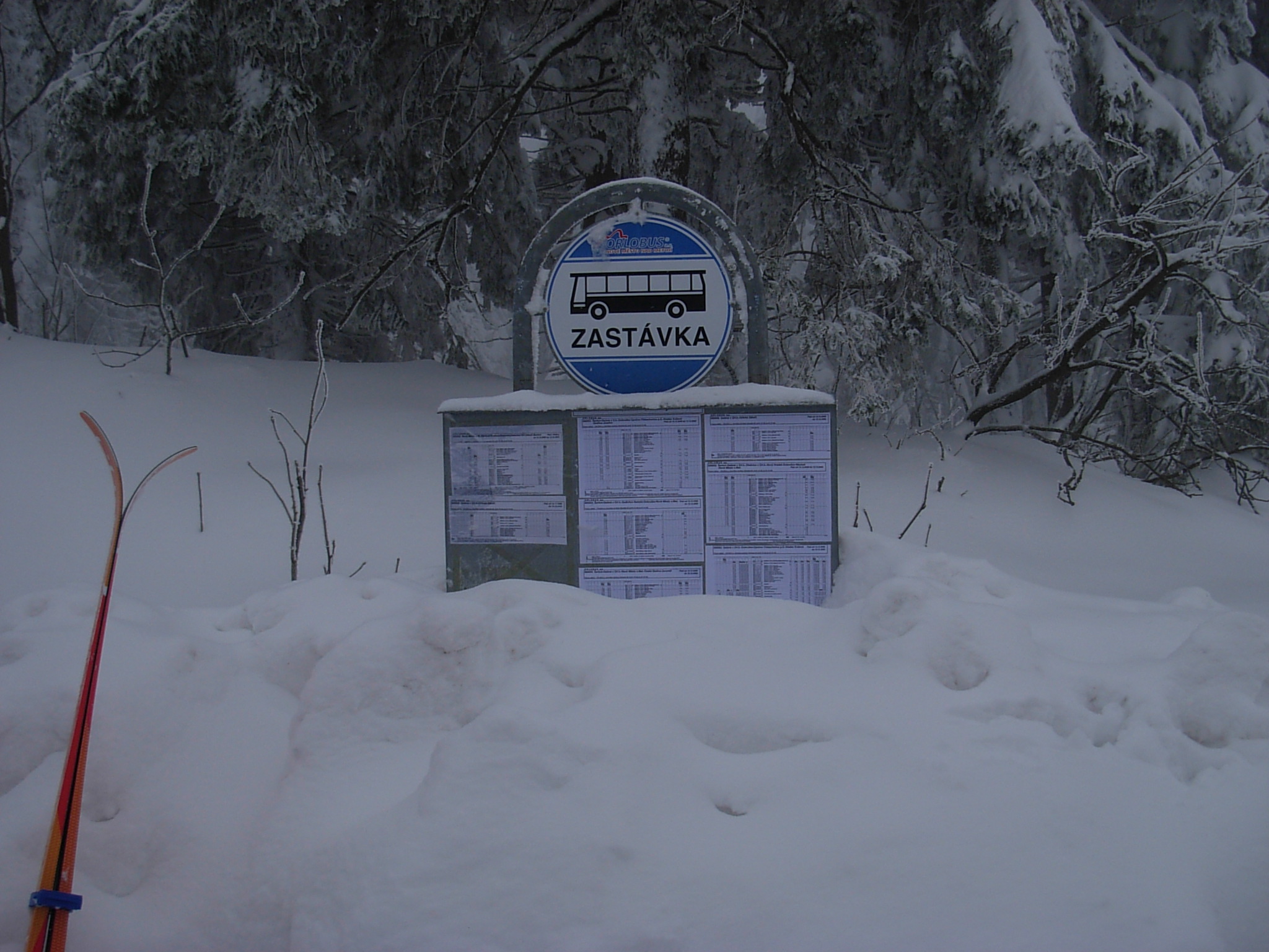DSCN3425.JPG