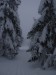 DSCN3430.JPG