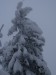 DSCN3431.JPG