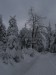 DSCN3371.JPG