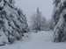 DSCN3392.JPG